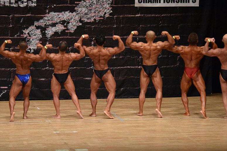 taikai-photo
