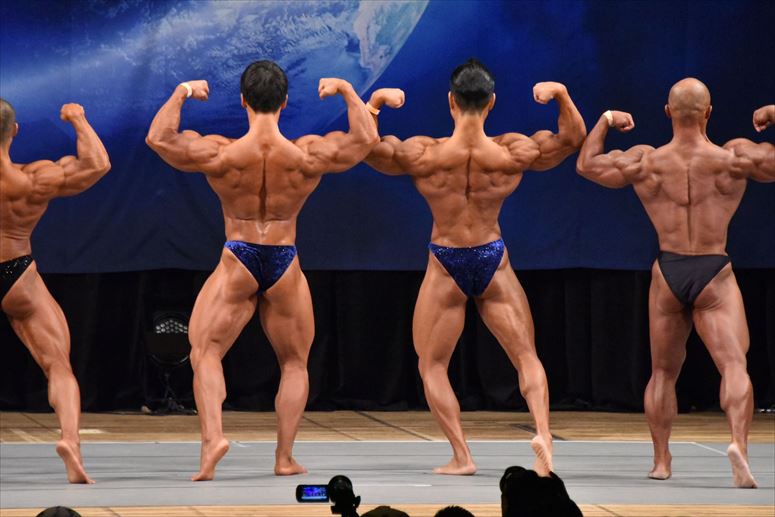 taikai-photo
