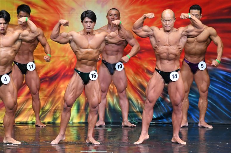 taikai-photo