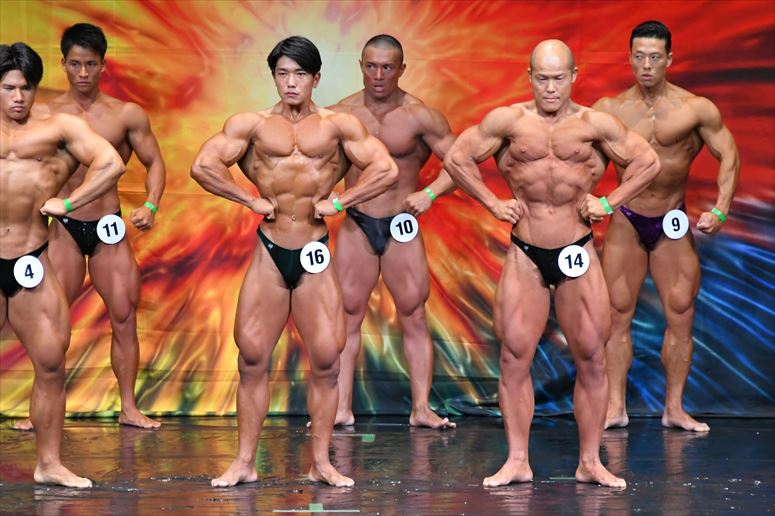 taikai-photo