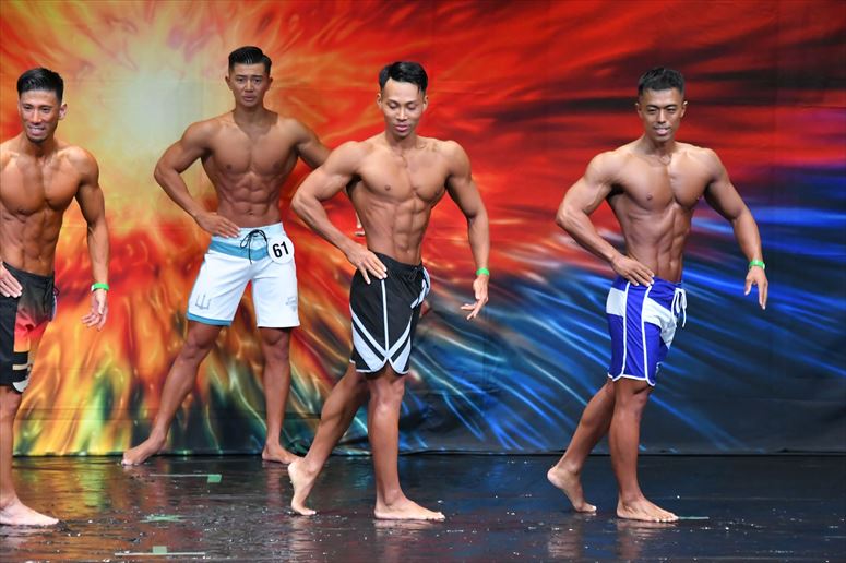 taikai-photo