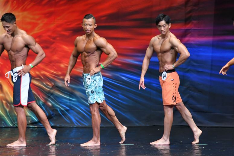 taikai-photo