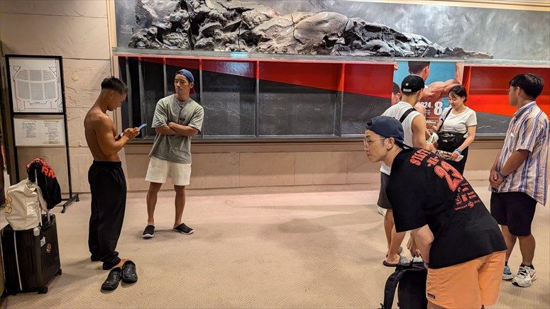 taikai-photo