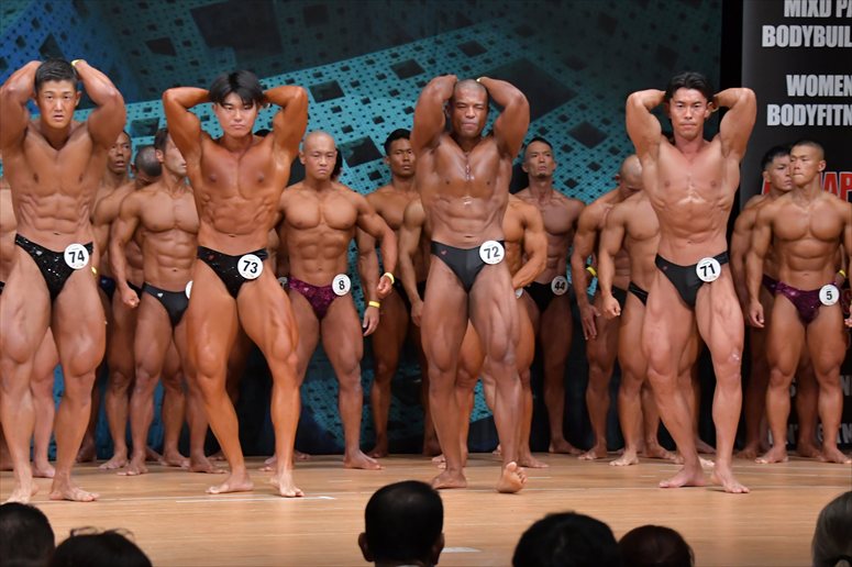 taikai-photo