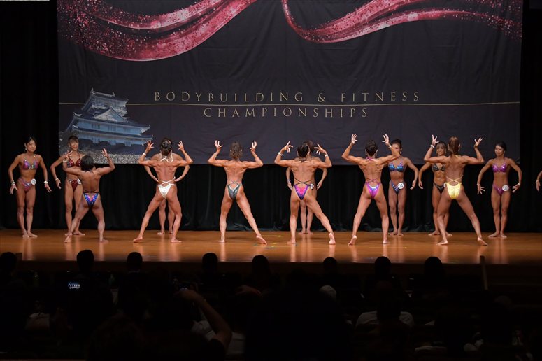 taikai-photo